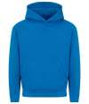 JH501B JH501J AWDis Kids Hoodie 2.0 sapphire blue colour image
